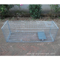 humane live animal trap cage animal trap cage